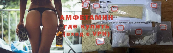 стаф Алзамай