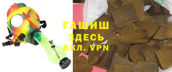 стаф Алзамай