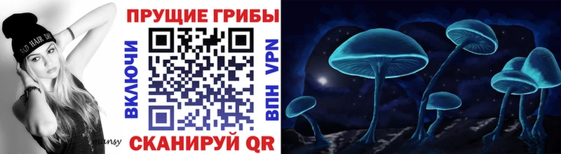Купить  Урюпинск  Галлюциногенные грибы Magic Shrooms 